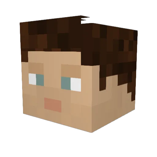 BlueTunnel2 Minecraft avatar head, 3D render