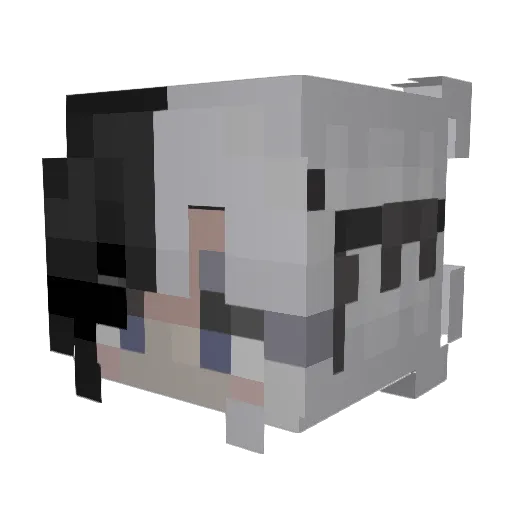 BlueTurtle000 Minecraft avatar head, 3D render