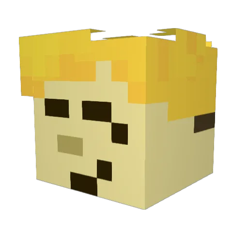 BlueTwigVR Minecraft avatar head, 3D render