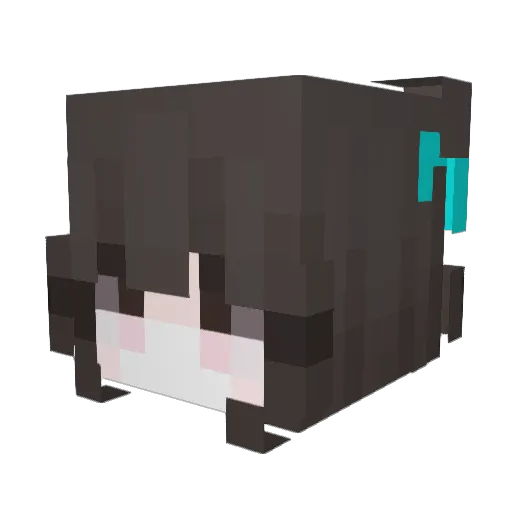 BlueVeinxs Minecraft avatar head, 3D render