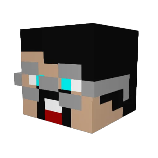 BlueWaffel3355 Minecraft avatar head, 3D render