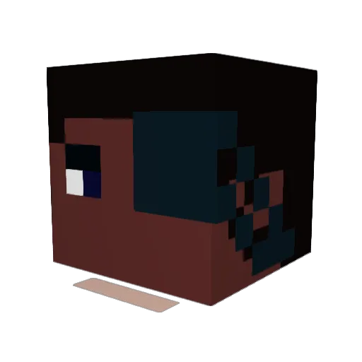BlueWasTaken123 Minecraft avatar head, 3D render