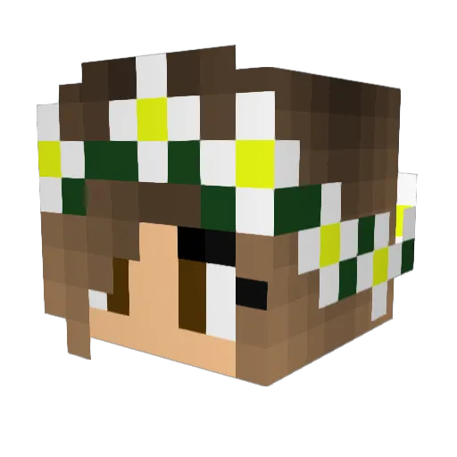 BlueWave21111 Minecraft avatar head, 3D render