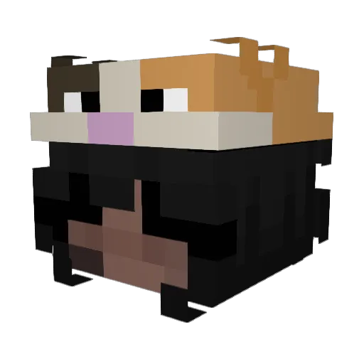 BlueWhalez Minecraft avatar head, 3D render
