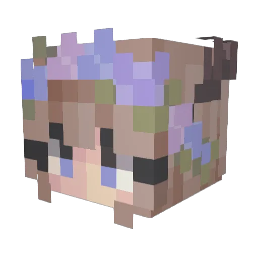BlueWolfGamer70 Minecraft avatar head, 3D render