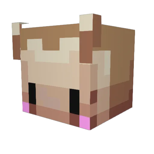 BlueXgamer11 Minecraft avatar head, 3D render
