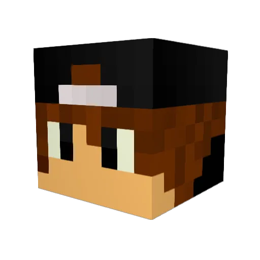 Blue_9165 Minecraft avatar head, 3D render