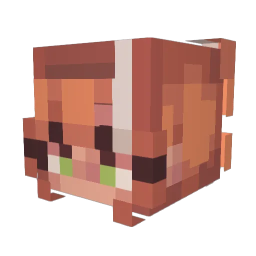Blue_Coffeee Minecraft avatar head, 3D render