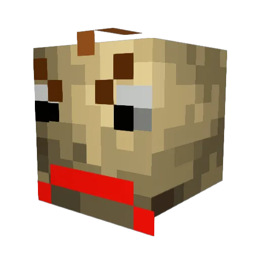Blue_Flyer Minecraft avatar head, 3D render