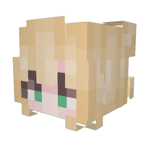 Blue_Food Minecraft avatar head, 3D render