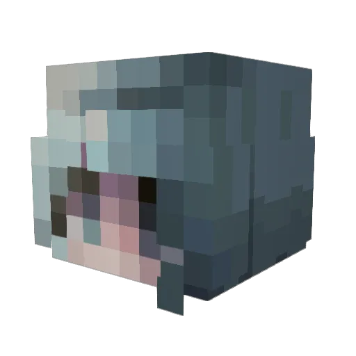 Blue_HoneyBee Minecraft avatar head, 3D render