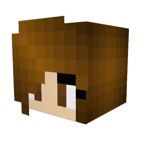 Blue_Jay1234 Minecraft avatar head, 3D render