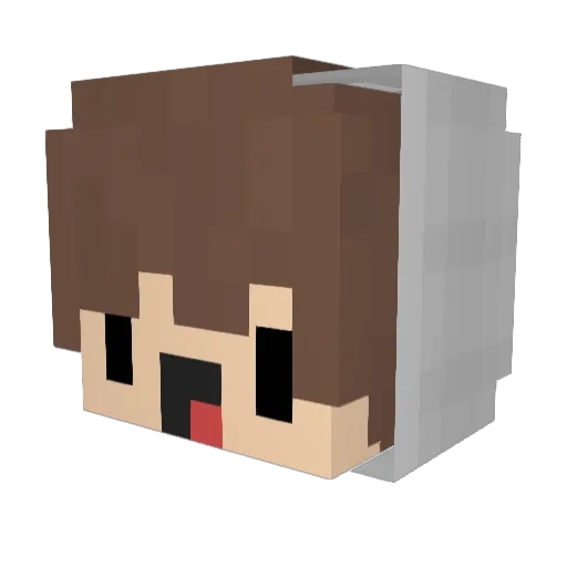 Blue_Pingvin Minecraft avatar head, 3D render