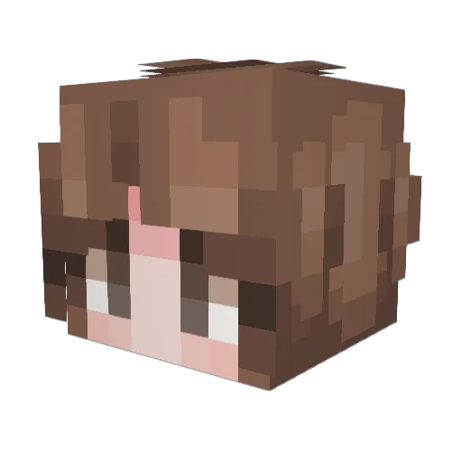 Blue_Robin20 Minecraft avatar head, 3D render