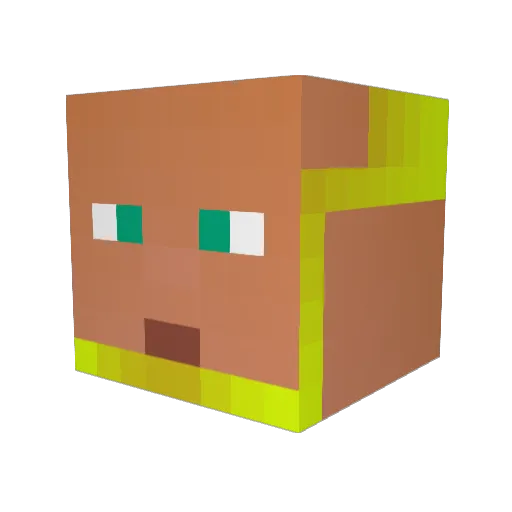 Blue_Skyyy Minecraft avatar head, 3D render