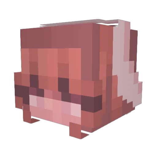 Blue_Stitchy Minecraft avatar head, 3D render