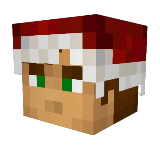 Blue_Tornado3 Minecraft avatar head, 3D render