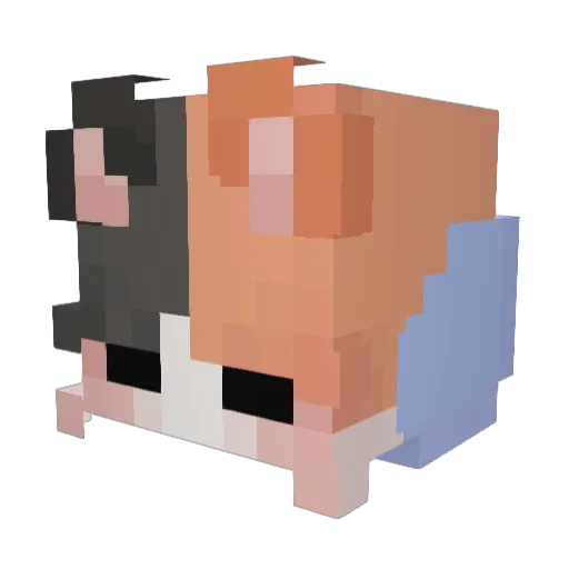 Blue_gg Minecraft avatar head, 3D render