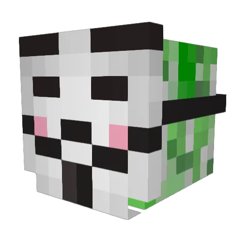 Bluearcher06 Minecraft avatar head, 3D render