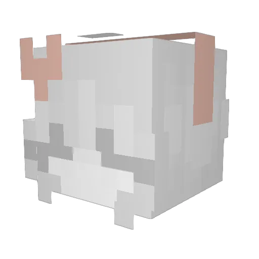 Blueaugust1 Minecraft avatar head, 3D render