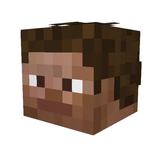 Blueberry56 Minecraft avatar head, 3D render