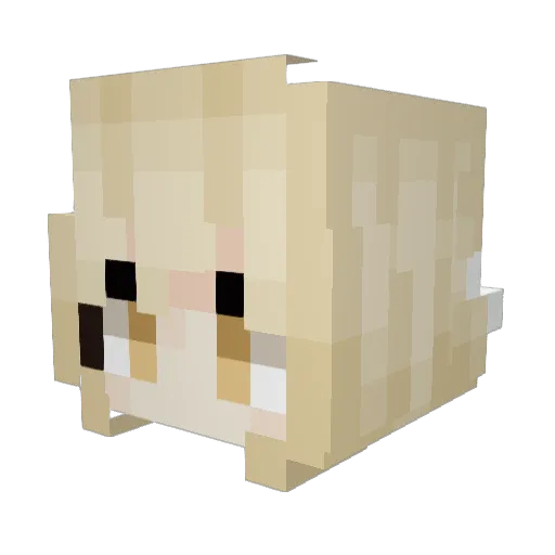 BlueberryCat Minecraft avatar head, 3D render