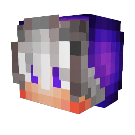 BlueberryPrison Minecraft avatar head, 3D render