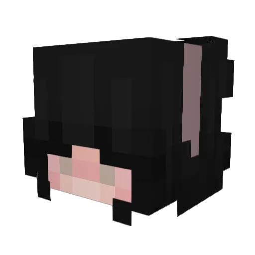 Blueberry_000 Minecraft avatar head, 3D render