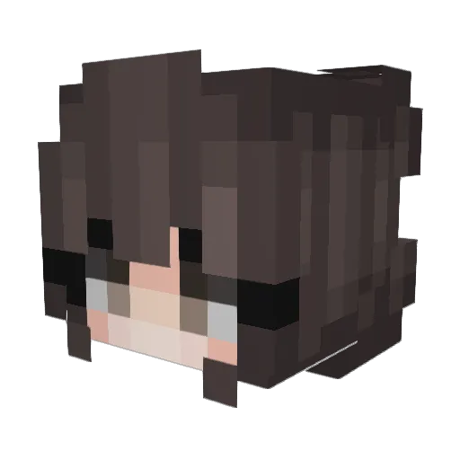 Blueberry_Cakes Minecraft avatar head, 3D render