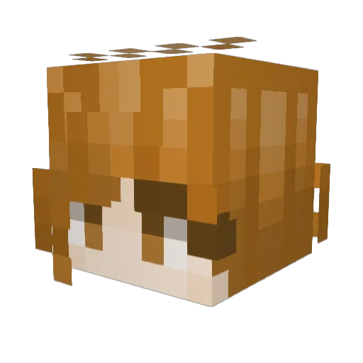 Blueberry_TARDIS Minecraft avatar head, 3D render