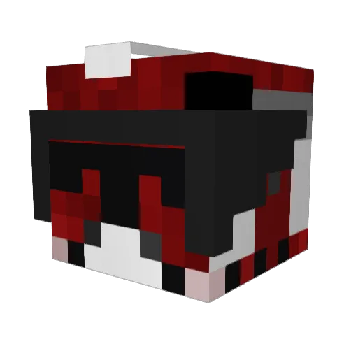 Blueberrycookie1 Minecraft avatar head, 3D render