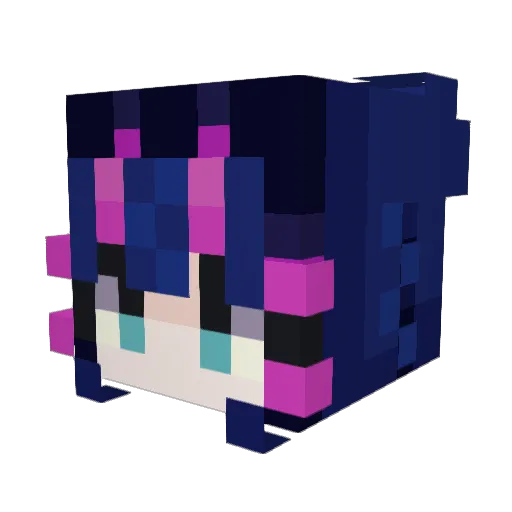 Blueberryskies08 Minecraft avatar head, 3D render