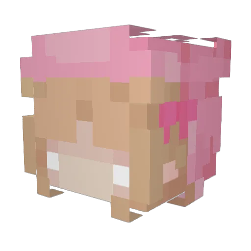 BluebirdMoon Minecraft avatar head, 3D render