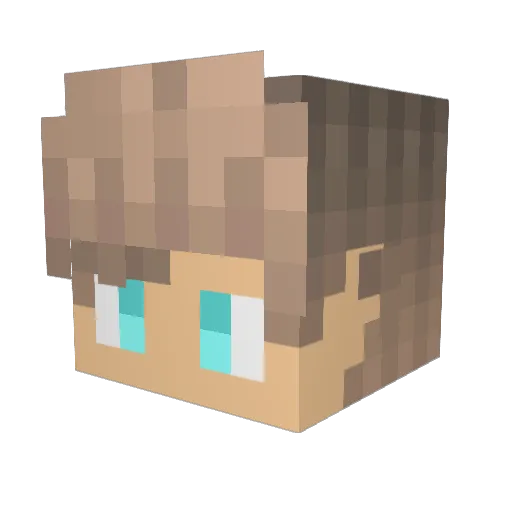 Blueblade9999 Minecraft avatar head, 3D render