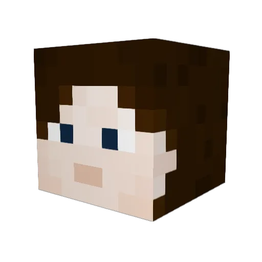 Bluebottle16 Minecraft avatar head, 3D render