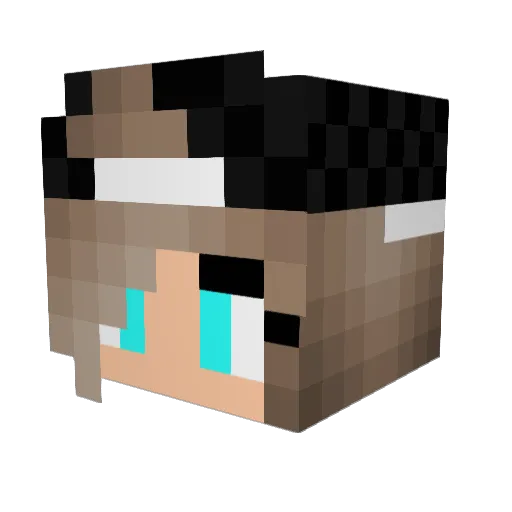 Bluebotton Minecraft avatar head, 3D render
