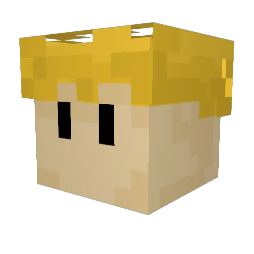 Bluecloud25 Minecraft avatar head, 3D render