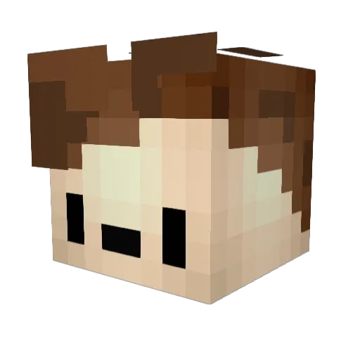 Bluecorn21 Minecraft avatar head, 3D render