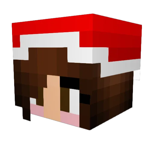 Bluecupcake47 Minecraft avatar head, 3D render
