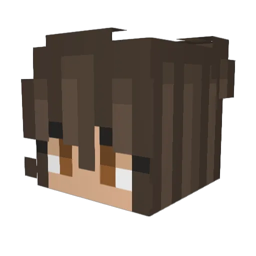 Bluedash139 Minecraft avatar head, 3D render