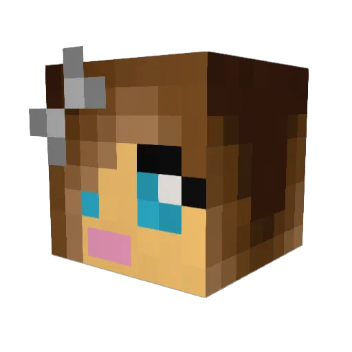 Bluedevils2333 Minecraft avatar head, 3D render