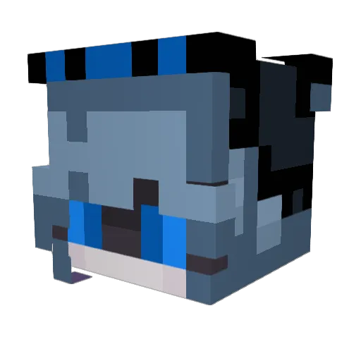 Blueeyedwolf34 Minecraft avatar head, 3D render