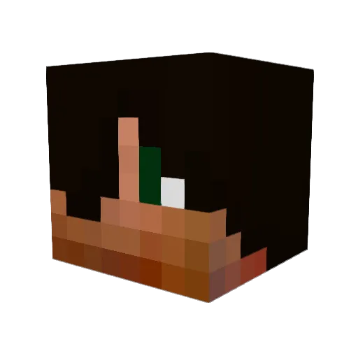 Bluefire31 Minecraft avatar head, 3D render