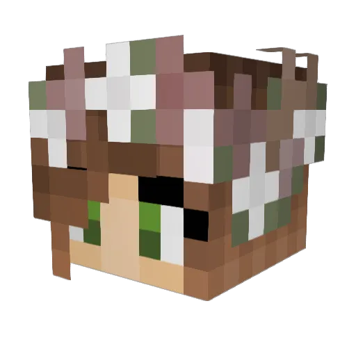 Bluefrost3 Minecraft avatar head, 3D render