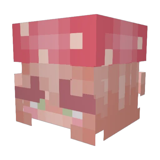 Bluehippojr Minecraft avatar head, 3D render