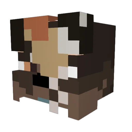 BluejaySymphony Minecraft avatar head, 3D render