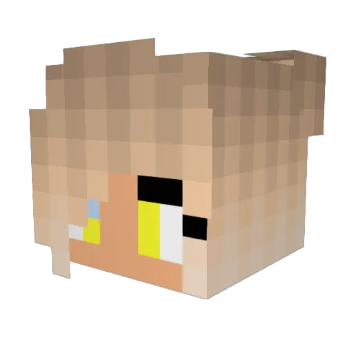 Bluejayg4mer Minecraft avatar head, 3D render