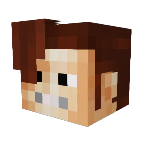 Bluejug Minecraft avatar head, 3D render