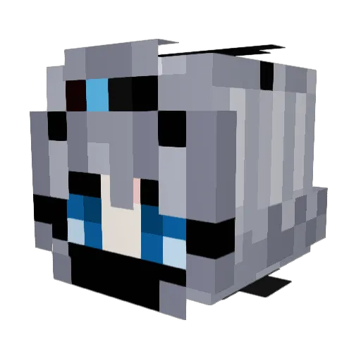 Bluek315 Minecraft avatar head, 3D render