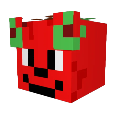 Bluemycool Minecraft avatar head, 3D render